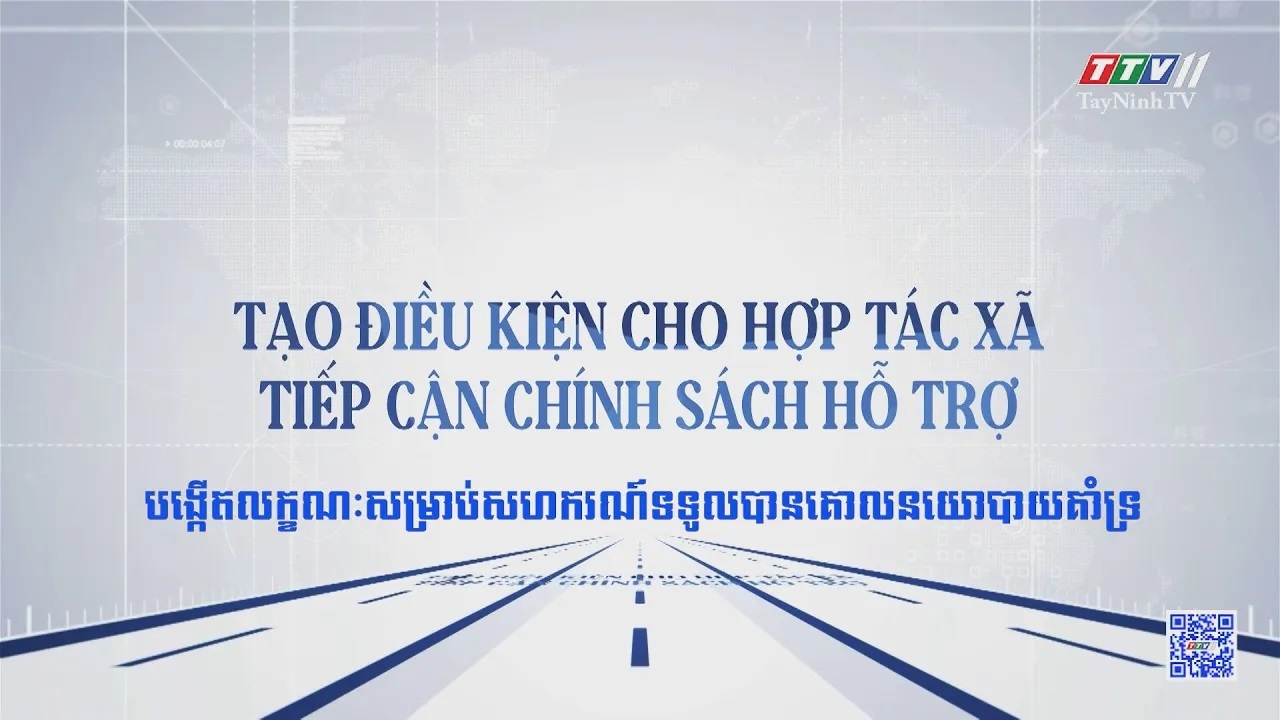 Tạo điều kiện cho Hợp tác xã tiếp cận chính sách hỗ trợ | Truyền thông chính sách | TayNinhTVDVC